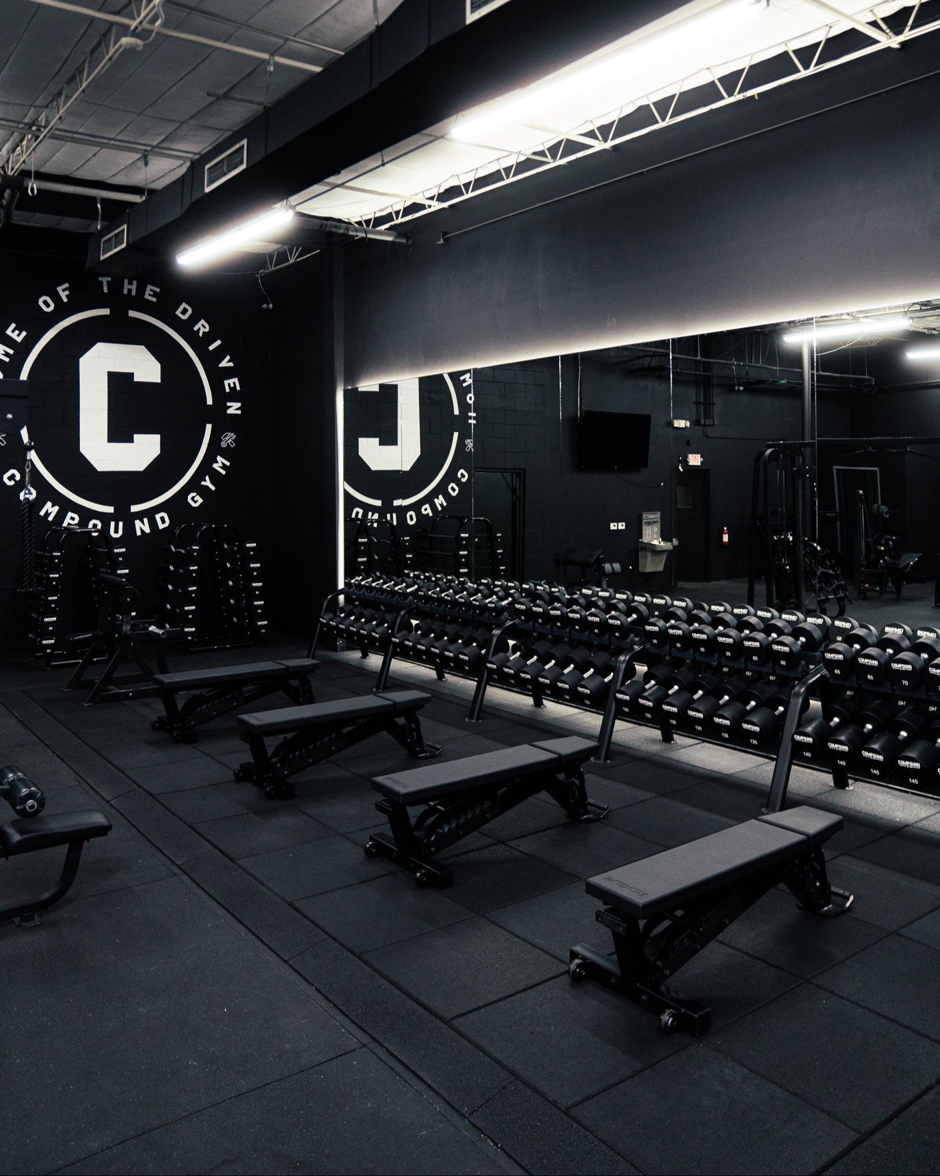 Photo of dumbell area with adjustable benches