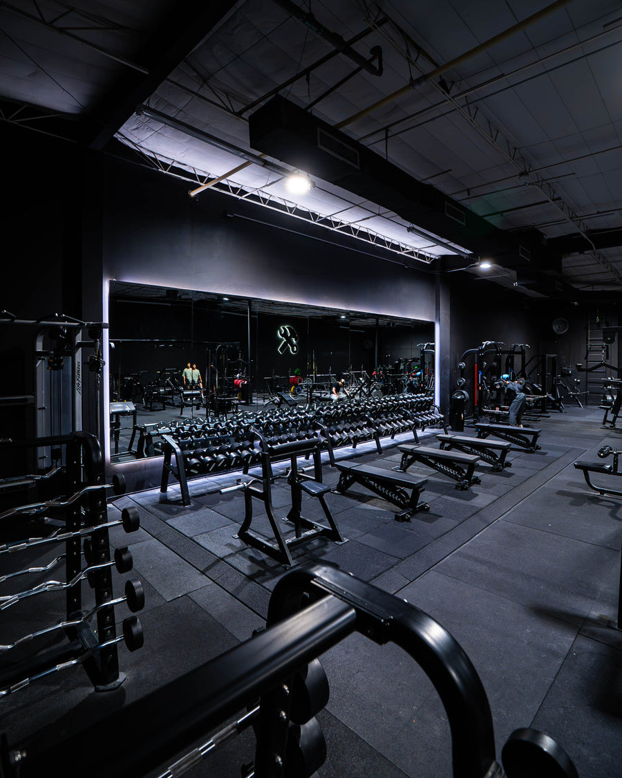 Dumbbell Section