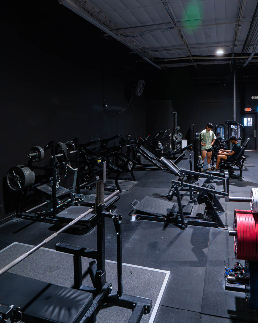 Lower Body / Legs