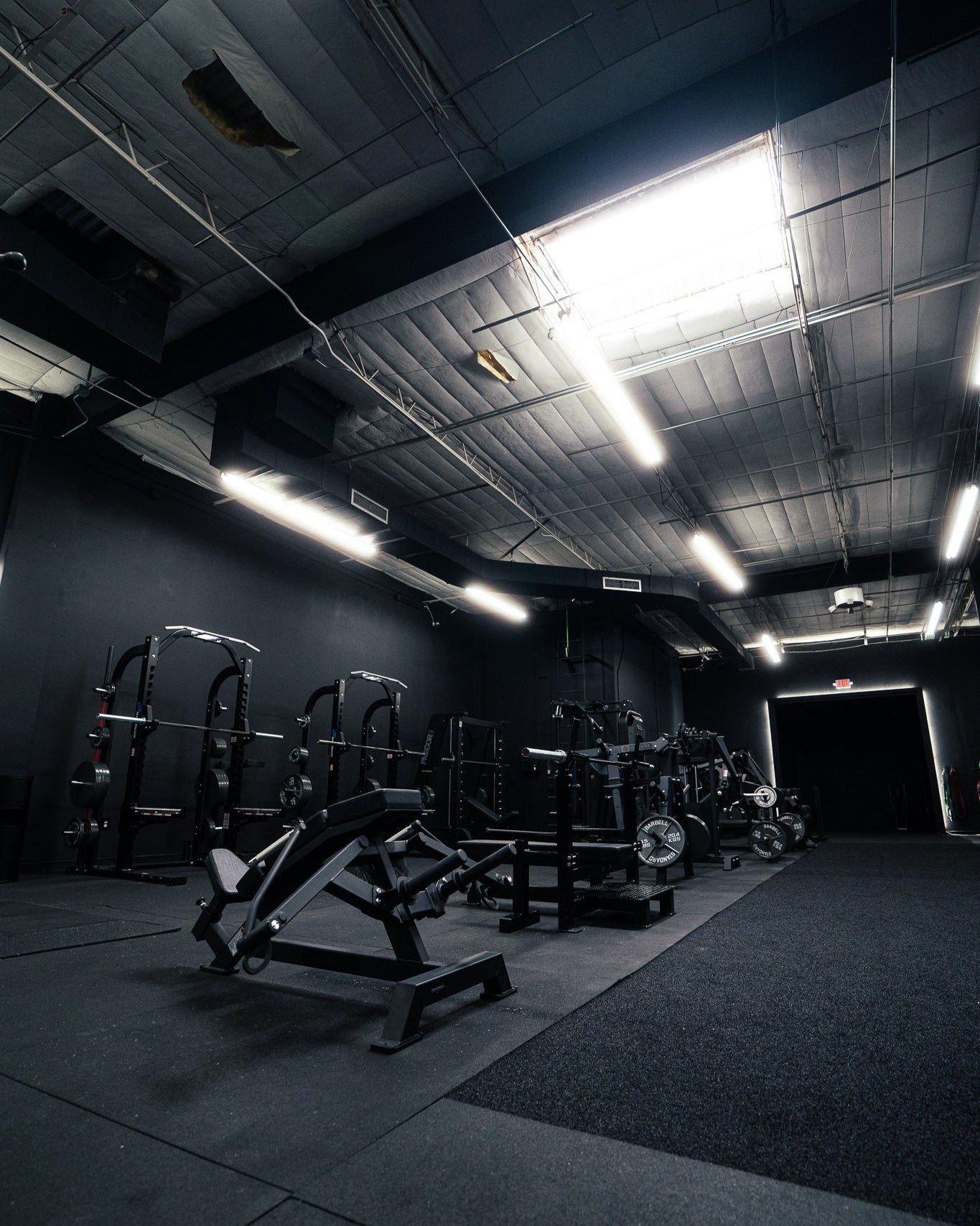photo of upper body area